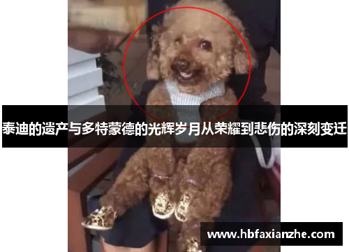 泰迪的遗产与多特蒙德的光辉岁月从荣耀到悲伤的深刻变迁