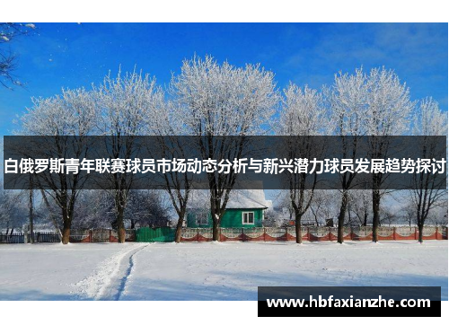 白俄罗斯青年联赛球员市场动态分析与新兴潜力球员发展趋势探讨