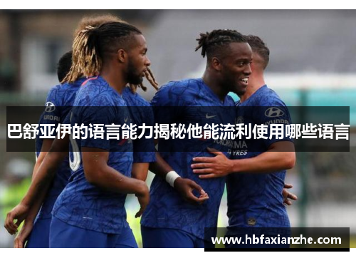 巴舒亚伊的语言能力揭秘他能流利使用哪些语言